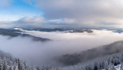 Fototapeta premium Enigmatic snowy forest in Black Forest with misty rising fog, a haunting winter landscape shrouded in darkness