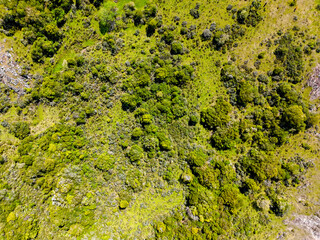 Aerial image looking down on a field with bushes and trees. Ideal to represent life in the countryside, crop control and care for nature. drone image