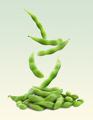 Fresh edamame soybeans and pods falling onto pile against color background