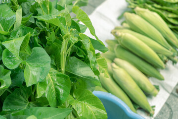 Obraz premium water spinach and corns at fresh market in Songkhla, Thailand. Green vegetables.