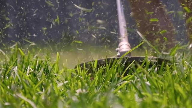 Whipper snipper wet grass deals