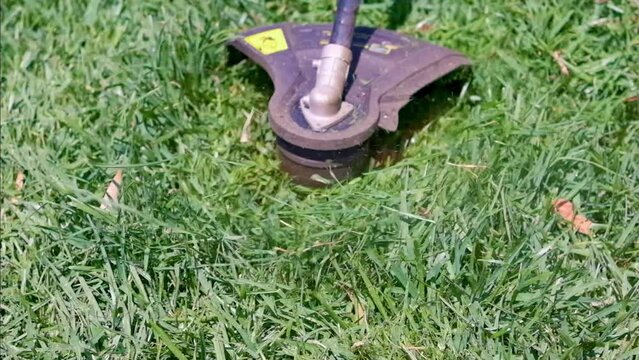 Cutting green grass with whipper snipper. Hand held grass trimmer mowing lawn. Grass shreds flying around in slow-mo.