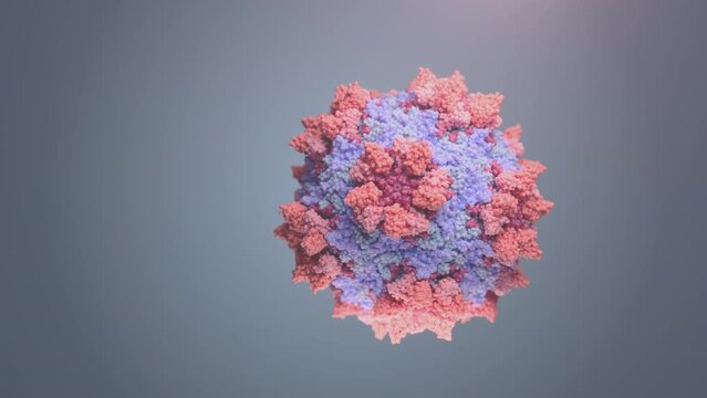 Biological assembly of poliovirus. Rendering of viral agent which causes disabling and life-threatening poliomyelitis disease.
