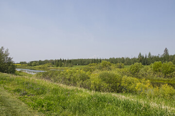 Obraz premium A Sunny Summer Day at Pylypow