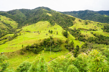 Fototapeta na wymiar Cocora Valley, Colombia