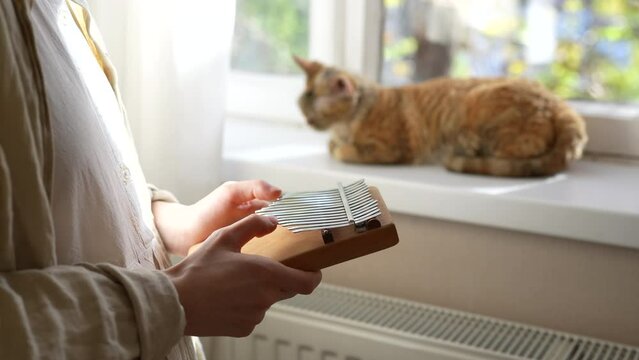Hands of woman playing music on kalimba, cat lying on windowsill on background. Girl relaxes plays on african traditional musical instrument at home enjoying beautiful sounds with pet cat Devon Rex.