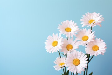 Daisy bunch isolated pastel Copy space