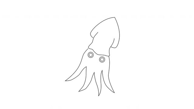 Squid icon sketch animation