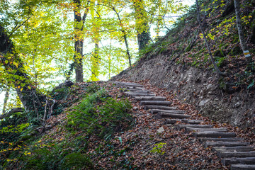 Lagodekhi, Machi fortress. green forest in kakheti Georgia