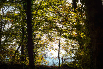 Fototapeta premium Lagodekhi, Machi fortress. green forest in kakheti Georgia