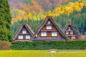 Papier Peint photo autocollant Vieil immeuble Historical Japanese Village. Shirakawa-go, Ono District, Gifu Prefecture, Japan In the autumn leaves change color