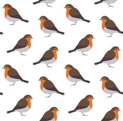 Vector seamless pattern of hand drawn flat robin bird isolated on white background