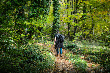 Lagodekhi, Machi fortress. green forest in kakheti Georgia