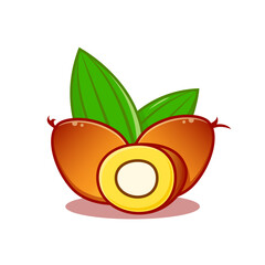 vector illustration of palm fruit  flat design concept