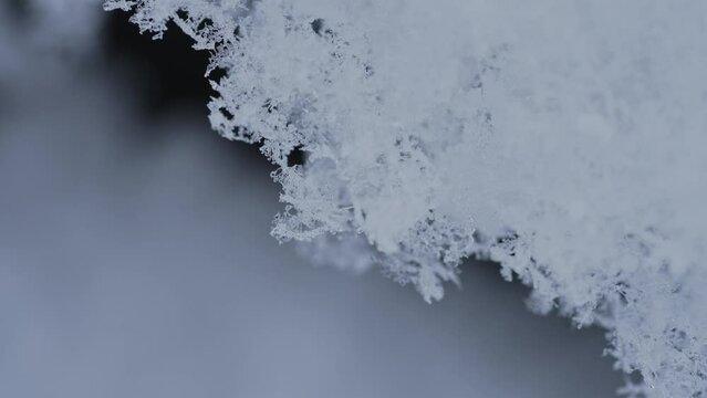 マクロ映像：溶けかけの雪の結晶