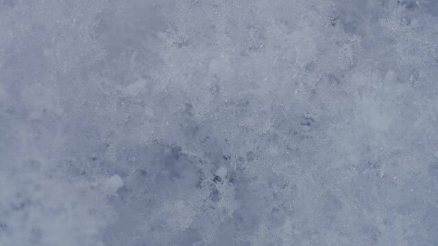 マクロ映像：溶けかけの雪の結晶