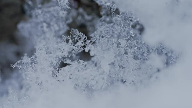 マクロ映像：溶けかけの雪の結晶