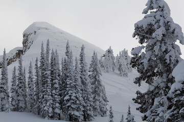 Mary's Mountain at Grand Targhee Ski Resort. Located in the Teton Mountain Range, in the Rocky Mountains. 