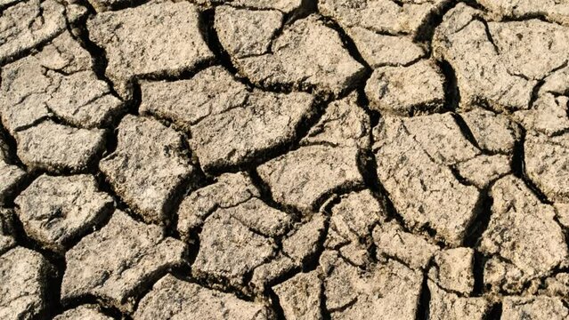 global warming problem dried cracked soils, drought and thirst. climate disorder

