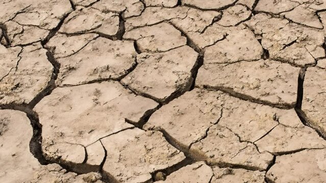 global warming problem dried cracked soils, drought and thirst. climate disorder
