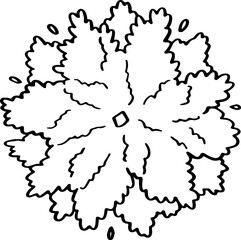 top view of tree decoration.