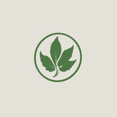 Leaf Logo Design Very Cool Concept 