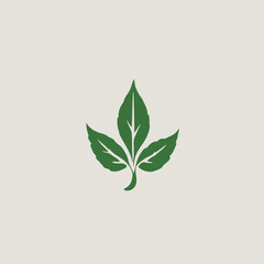 Leaf Logo Design Very Cool Concept 