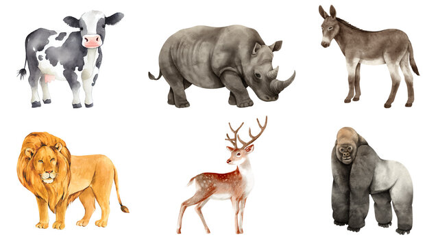 Watercolor set with wild savannah animals. Cute safari wildlife animal