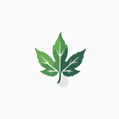 Leaf Logo Design Very Cool Concep
