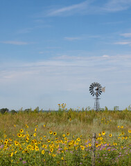 Old Windmill on a Sandhill Prairie in Nebraska with Native Sunflowers in the Foreground