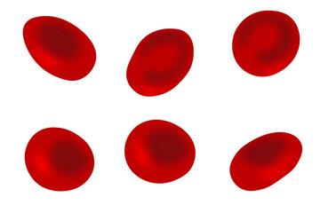 blood platelets vector png - obrazy, fototapety, plakaty