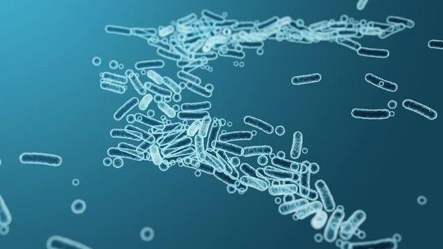 Enterobacteriaceae, gram-negative rod-shaped bacteria, part of intestinal microbiome and causative agents of different infections, 3D rendering. Escherichia coli, Klebsiella, Enterobacter and other