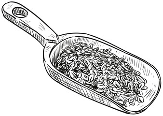 oats handdrawn illustration