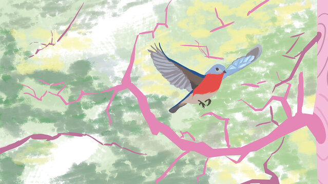 Wallpaper PC Pajarito