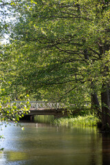 A wooden footbridge in the recess of the trees over the river