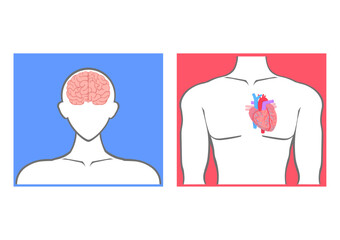 人間の脳と心臓