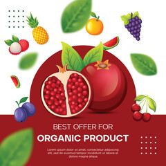 Template fruit pomegranate for social media post