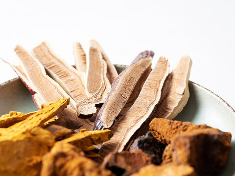 Various dried mushrooms, herbal medicine