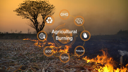 Greenhouse gas emissions from agricultural residue burning have increased in southeast asia