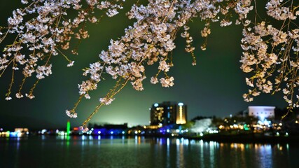 Spring night view of Gyeongju, Korea