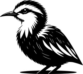 Pheasant tailed Jacana icon 2