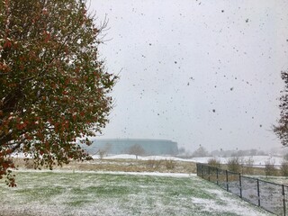 Heavy snow falls on suburban Wichita. 