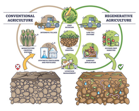 Regenerative agriculture vs conventional soil practices outline diagram. Labeled educational farming systems as compared sustainable, organic gardening versus intensive cropping vector illustration.