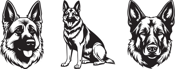 German Shepherd Dog Puppy Portrait. German shepherd sitting Vector isolated illustration in black color on white background.  Aggressive German shepherd dog breed pet.