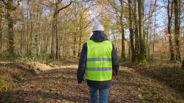 Male engineer walking alone in the forest while carrying clipboard in safety vest to survey for trees, handheld following