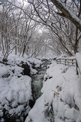 雪の中の沢