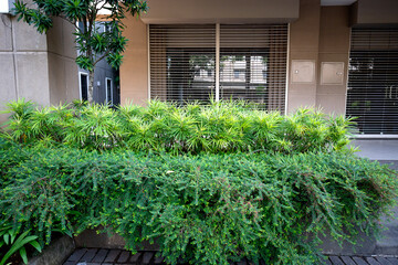 Closed modern shophouse