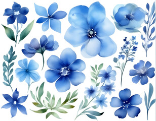 Fototapeta premium Colorful flowers painted with watercolors on a white background.