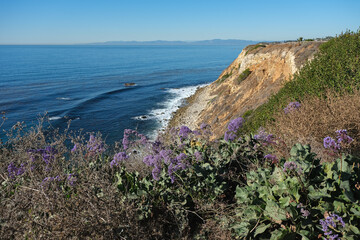 Breathtaking scenic and landscape view of coastline of Rancho Palos Verdes with vegetation and...
