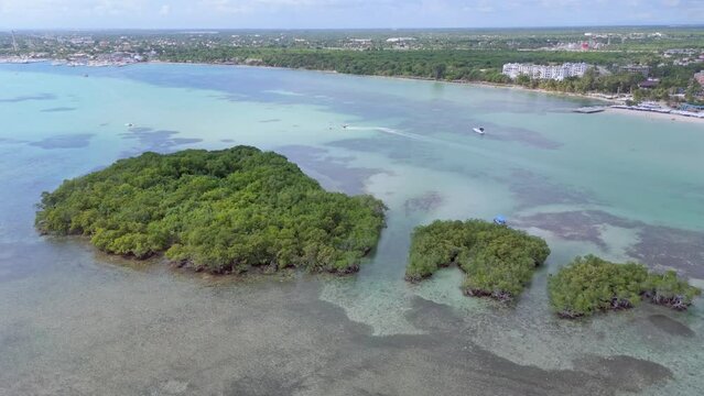 La Matica Island is a bird habitat in the tourist beach area in Boca Chica, Dominican Republic